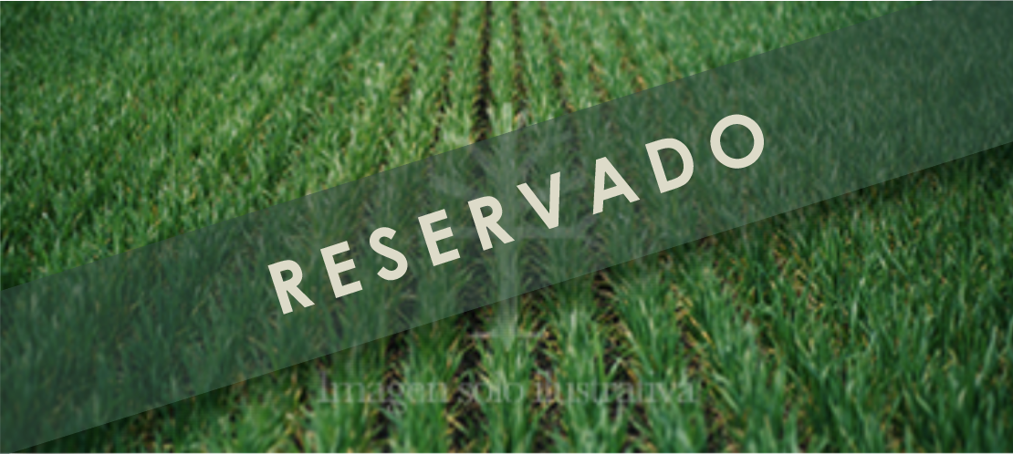 venta campo grande sudeste