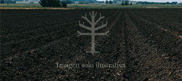 Venta Campo sudeste