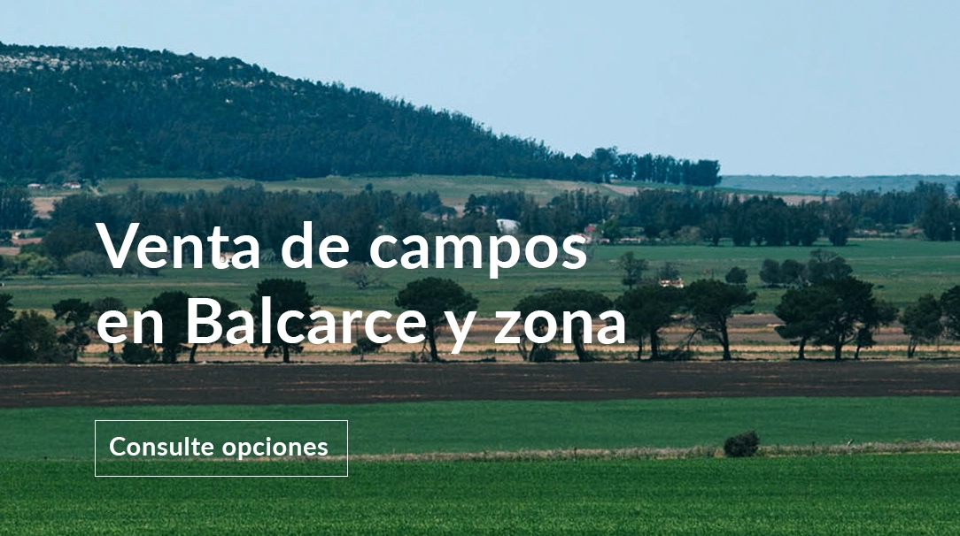 Venta campos en Balcarce y zona